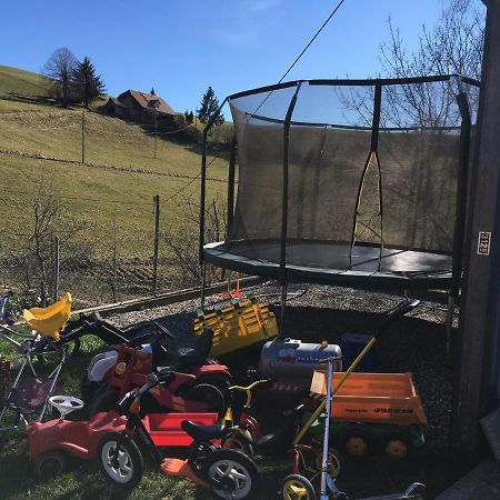 3,5 Zimmerferienwohnung Schwalbenaescht Rueeggisberg エクステリア 写真