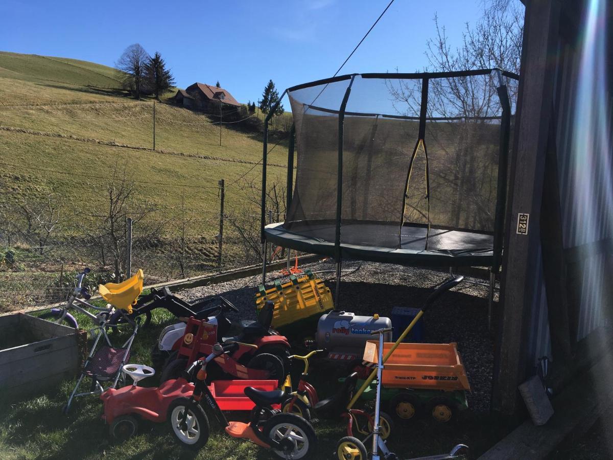 3,5 Zimmerferienwohnung Schwalbenaescht Rueeggisberg エクステリア 写真